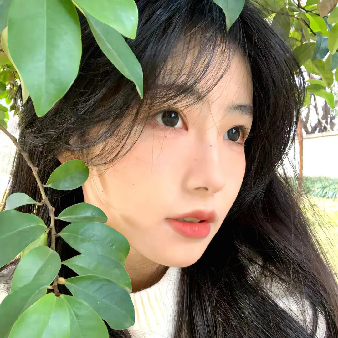亲亲小妹封面
